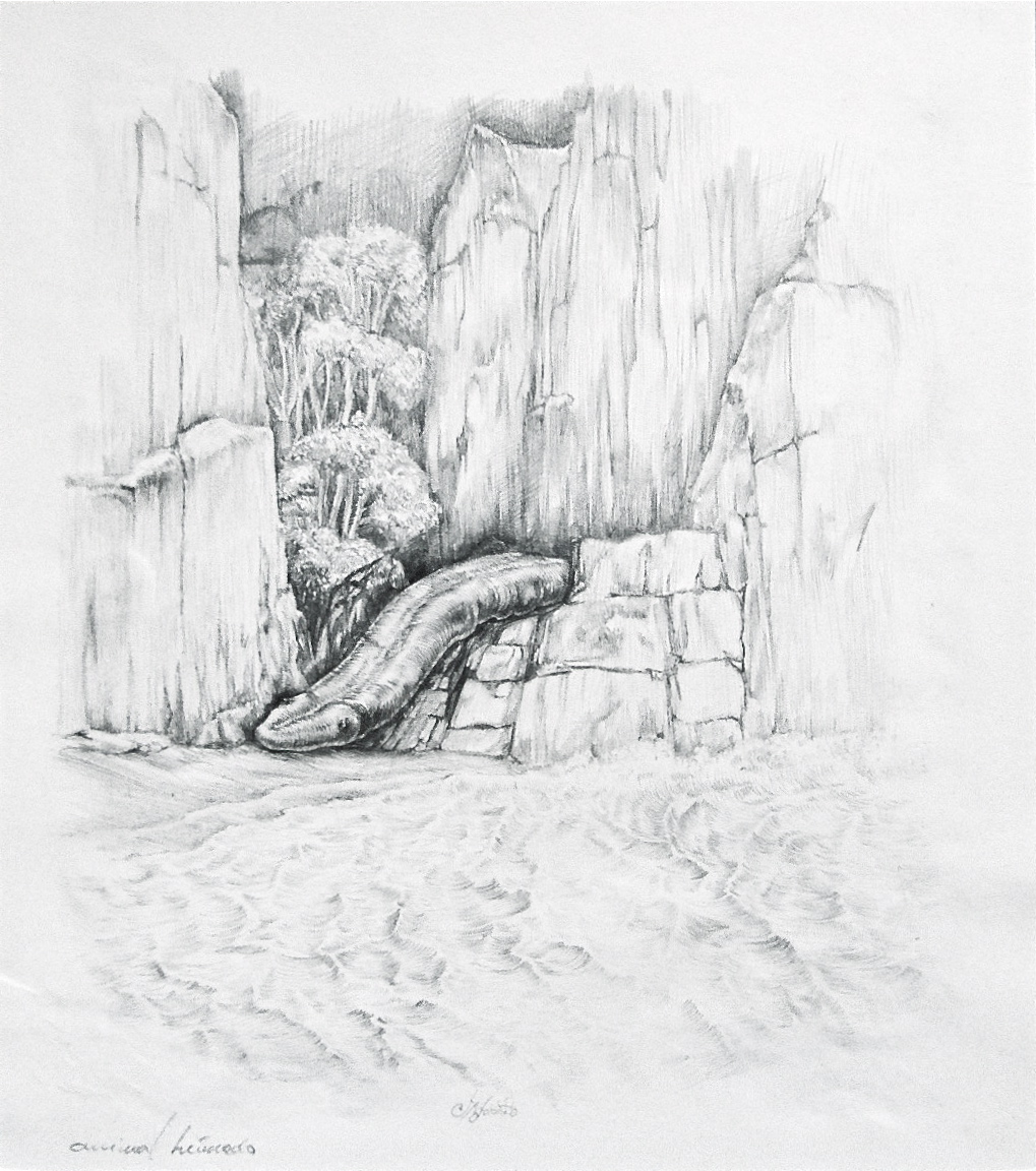 Animal húmedo, lápiz sobre papel.